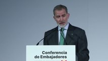 Felipe VI advierte que sin un Estado palestino no acabará el ciclo de violencia en Oriente Próximo