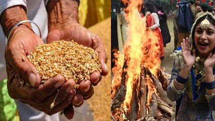 Lohri 2024: लोहड़ी के दिन क्या करना चाहिए क्या नहीं | Lohri Ke Din Kya Karna Chahiye|Boldsky