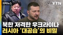 [자막뉴스] 북한 저격한 우크라이나 '분노'...러시아 대공습의 비밀 / YTN