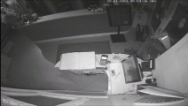 Prato, furto nel ristorante di piazza Mercatale: il video del ladro in azione