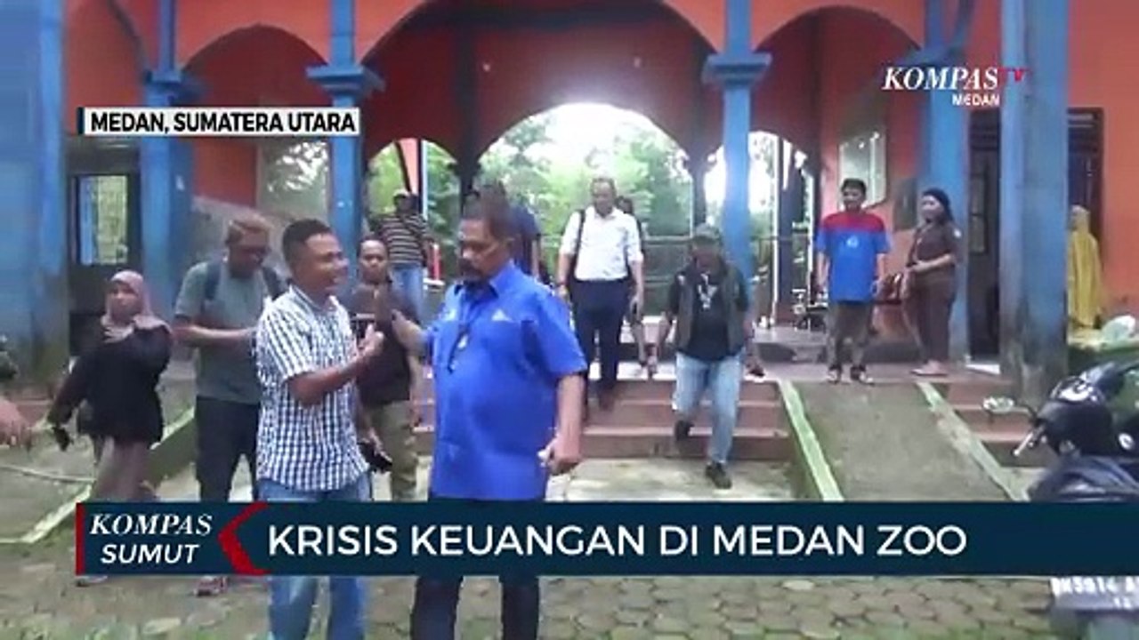 Krisis Keuangan di Medan Zoo Diduga Penyebab Kematian 3 Harimau dalam 2 Bulan Terakhir