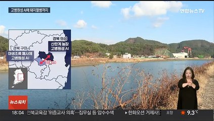 가축전염병 동시유행 위기…AI에 돼지열병 바이러스까지