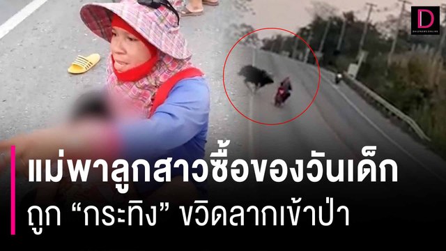 ระทึก! แม่พาลูกสาว 7 ขวบซื้อของวันเด็ก กระทิง ขวิดลากเข้าป่า | HOTSHOT เดลินิวส์ 12/01/67