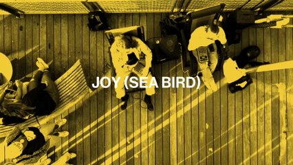 Joy Anonymous - JOY (Seabird) (Visualiser)