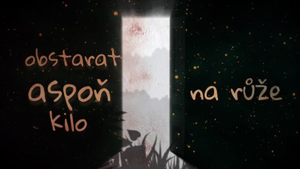 David Stypka - Růže (Lyric Video)