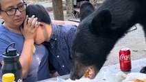 Terrifying Moment Black Bear Raids Picnic as Mother Shields his son