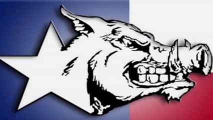 Hog Dynasty: 14+ Years of Texas Hog Hunts 🐗