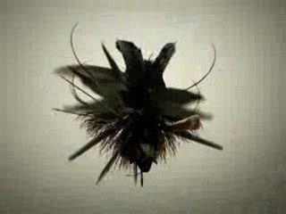 Adobe Experiment at ElmaalShift🌟