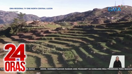 Ilang pananim sa Atok, Benguet, nabalot ng frost o "andap" | 24 Oras