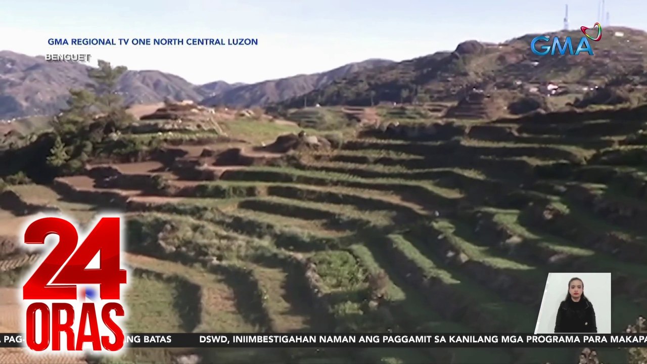 Ilang pananim sa Atok, Benguet, nabalot ng frost o "andap" | 24 Oras