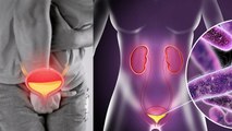 Urinary Infection Pelvic Pain Reason In Hindi|Does U-rine Infection Causes Pelvic Pain|Boldsky