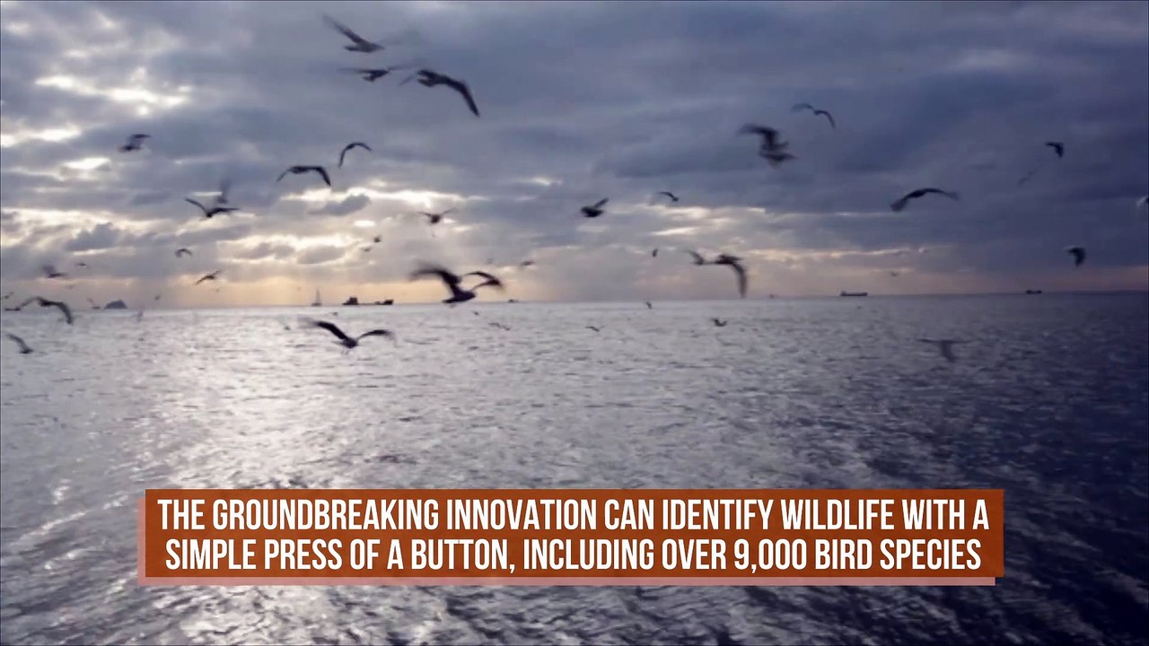World's First-Ever Smart Binoculars Can Identif...