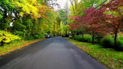 "Many Haunted Places" (3)*