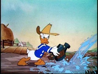 O Jardim de Donald 🌳