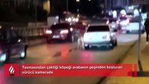 Tasmasından çektiği köpeği arabanın peşinden koşturan sürücü kamerada