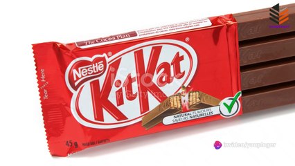 Sweet Secrets Unveiled: Crafting Kit Kat Bars in the Factory 