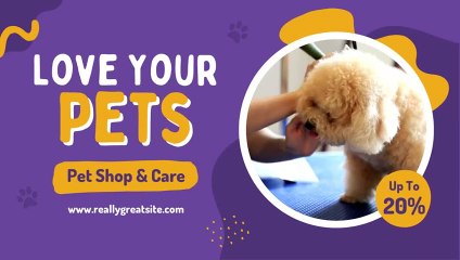 Cute Cat Video to Brighten Your Day 🐱