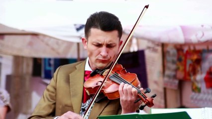 @ Unlocking the Code_ A Journey Through Comparative Genomics