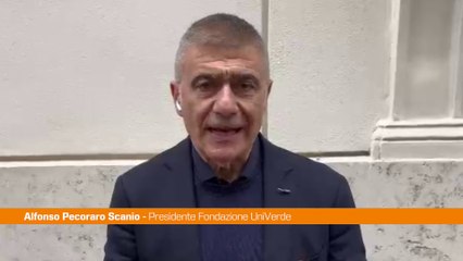 Pecoraro "Meloni attacca Conte ma teme confronto e sfida Pd"