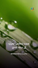 كيفية تشكل الضباب