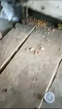 हाईवे किनारे की आठ दुकानों में चोरी, सामान व नकदी ले गए चोर