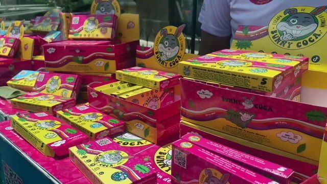 Bolivianos se reúnen en masa para masticar coca contra estigma de su planta sagrada