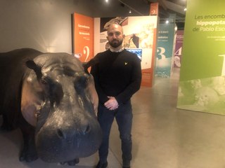 Des hippos d'Escobar au serpent mangeur de spaghetti