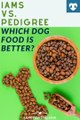 Iams vs. Pedigree: Which Dog Food is Better For Your Pup?