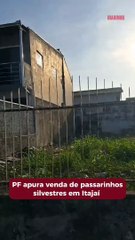 PF faz buscas em casa de traficantes de trinca-ferros