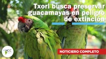 Txori busca preservar guacamayas en peligro de extinción | 621 | 15 al 21 de enero de 2024