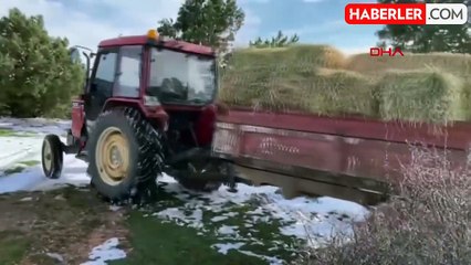 Spil Dağı Milli Parkı'nda Yaban Hayvanlarına Yemleme Çalışması