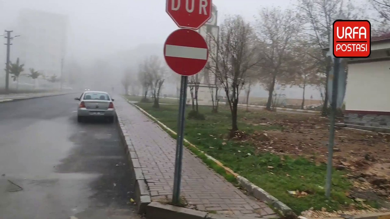 Şanlıurfa'da sis etkili oldu