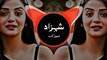 New Arabic Remix Song 2024 _ Remix _ Music _ Bass Boosted _ Arabic Music _ Arabic Remix Song