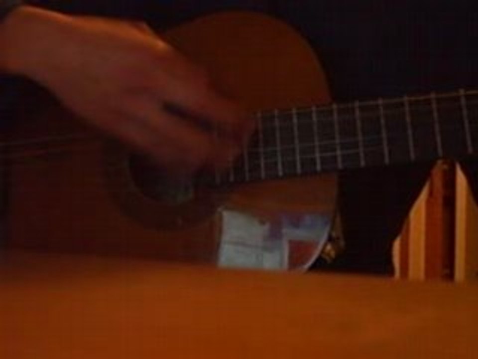 Guitar