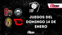 LVBP: Juegos del domingo, 14 de enero.
