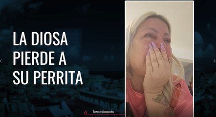 La Diosa perdió a su perrita