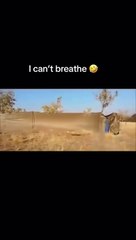 memes .. funny .. try not to laugh .. prank .. people .. funny image .. joke 