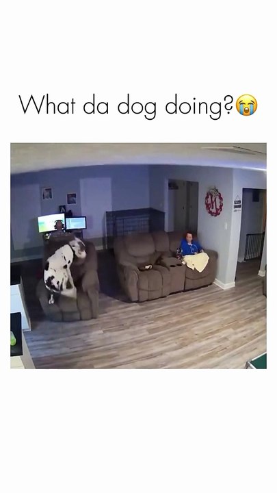 memes .. funny .. try not to laugh .. prank .. people .. funny image .. joke 