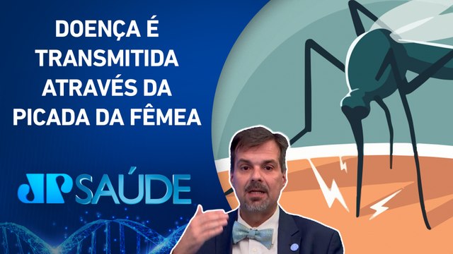 Dengue: Campanhas não são suficientes se todos não contribuírem na prevenção | JP SAÚDE