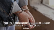 Pará teve 74 trabalhadores resgatados de condições análogas à escravidão em 2023