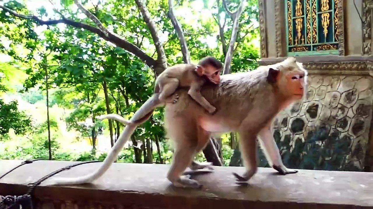OMG!, Malika Is Bad To Mistreat Baby Monika, Brother Marto Comes To Help Monika (720p_25fps_H264-192kbit_AAC)