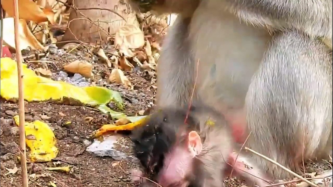 OMG!, My heart will be broken million parts, Emila doesn't care newborn, She left her cry shaking (720p_25fps_H264-192kbit_AAC)