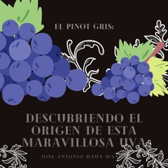 Jose Antonio Haua Maauad- El Pinot Gris (parte 1)