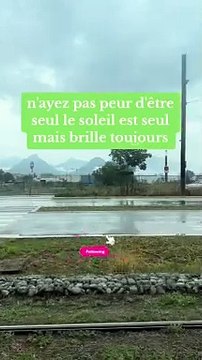 N'ayez pas peur d'être seul le soleil est seul mais brille toujours