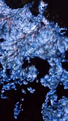 Blue Fire at Ijen Volcano Crater