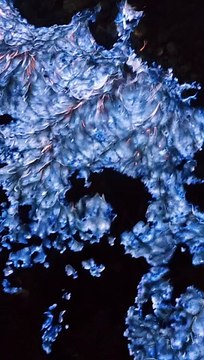 Blue Fire at Ijen Volcano Crater