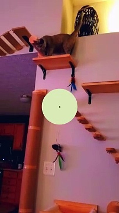 #amazonfinds #linkinbio