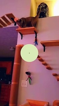 #amazonfinds #linkinbio