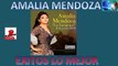 Amalia Mendoza Lo mejor De Su Musica Solo Para tus oidos antaño mix