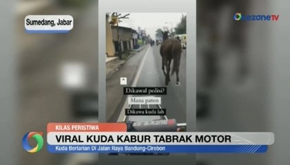 OKEZONE UPDATES: Viral Kuda Kabur Tabrak Motor hingga Pangeran Brunei Resmi Menikah